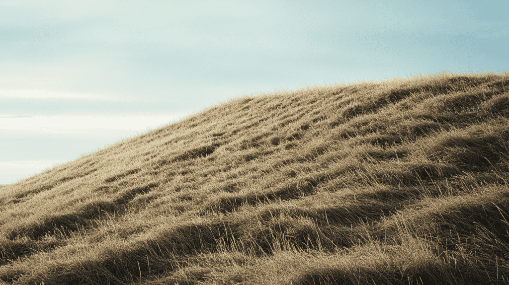 winter rye grass on a steep hill