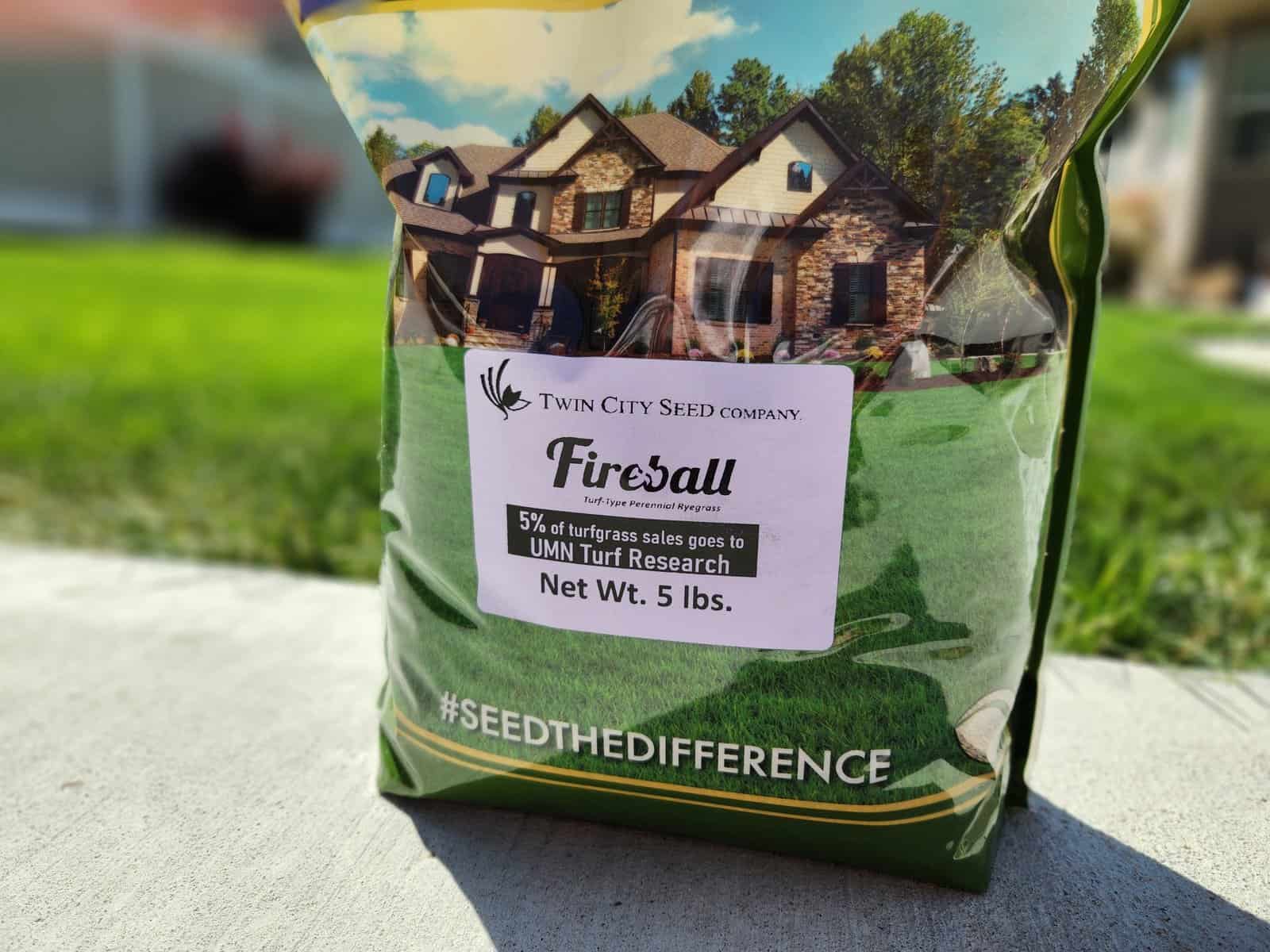 fireball rye grass seed