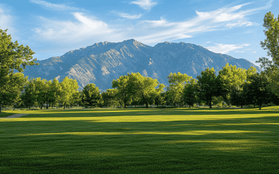 What Is The Most Common Grass Seed For Northern Utah