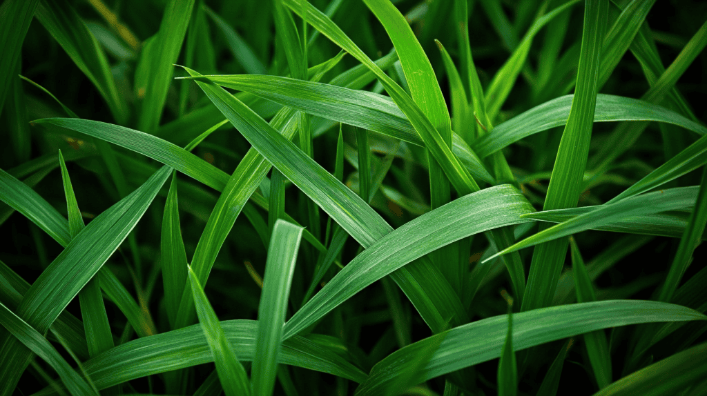 ironite dark green grass