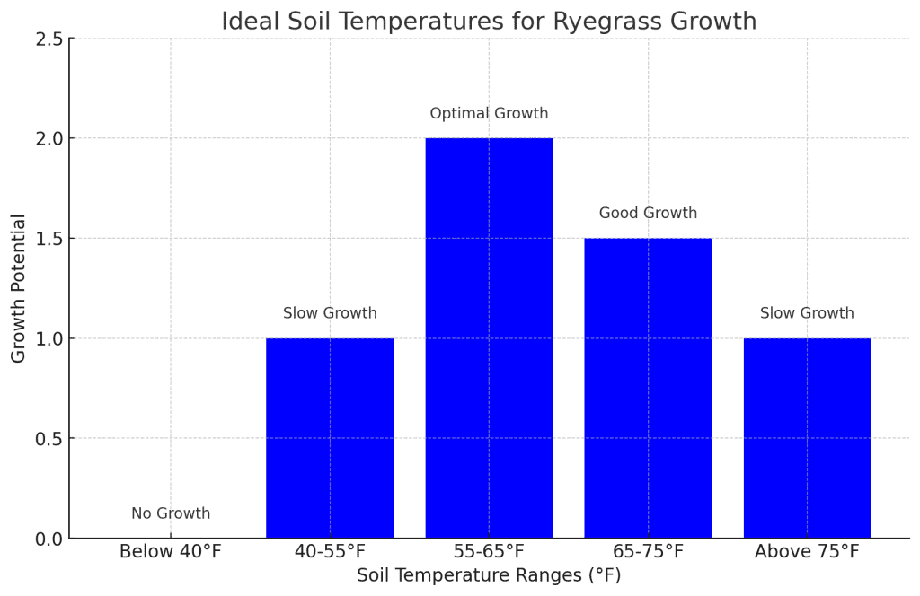 ideal soil temperatures for ryegrass growth