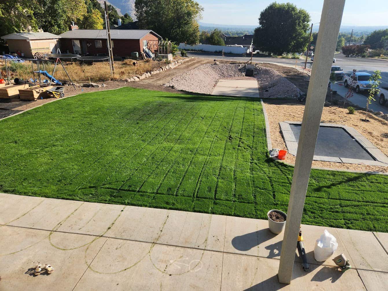 new fireball rye grass lawn