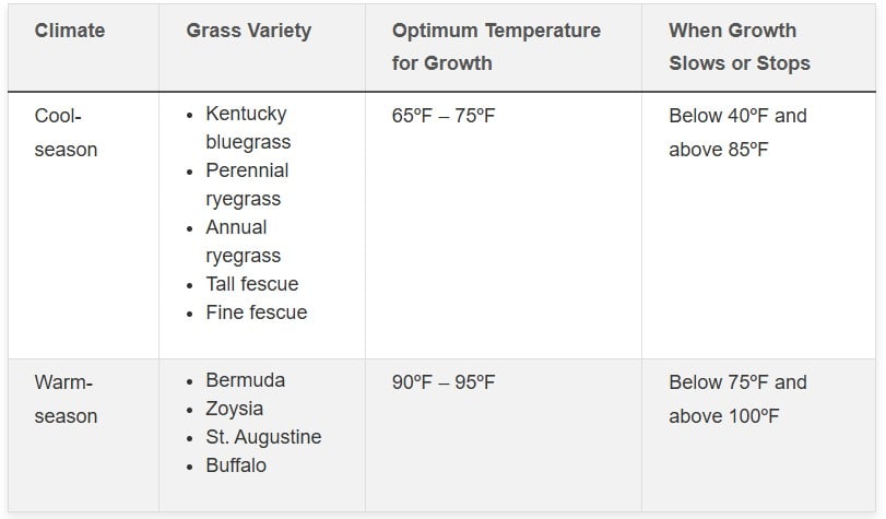 what temperature does grass stop growing