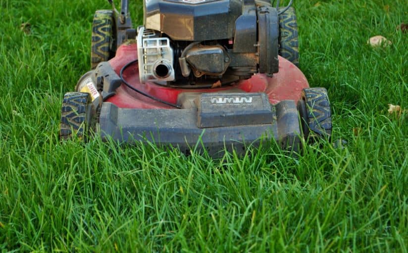 The first mow of the spring season