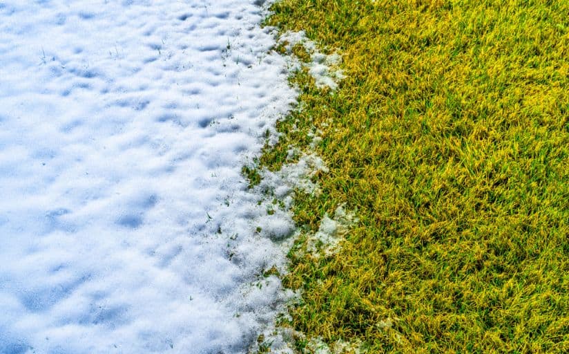 Winter Lawn Care 101: How To Protect Your Lawn During Winter