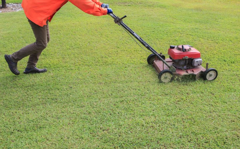 Final mow of the season before it is too cold to mow