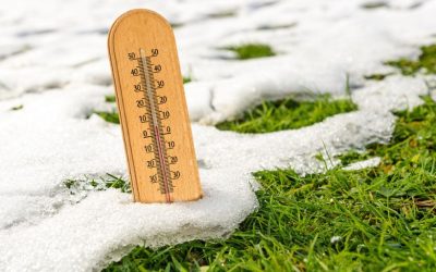 At What Temperature Does Grass Stop Growing?