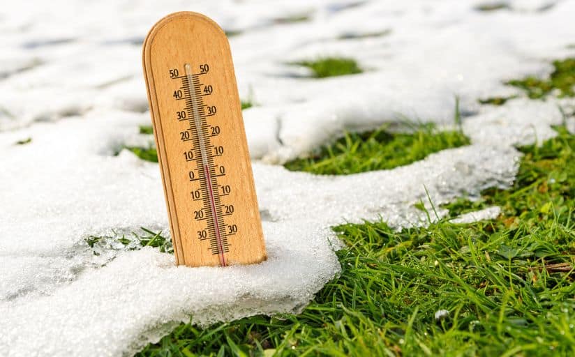 At What Temperature Does Grass Stop Growing?