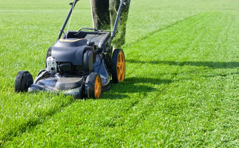 mowing dense grass