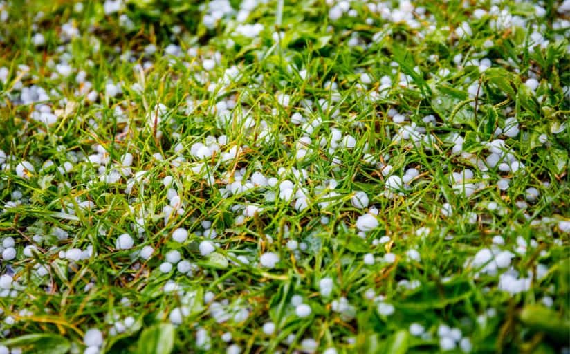 Freezing conditions make it too late to fertilize the lawn in winter.