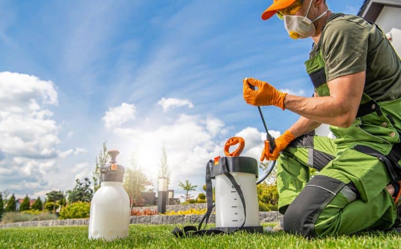 Worker putting herbicide in pump sprayer to kill crabgrass