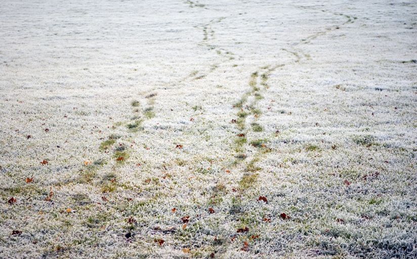 proper winter lawn care means not walking on frozen lawns.
