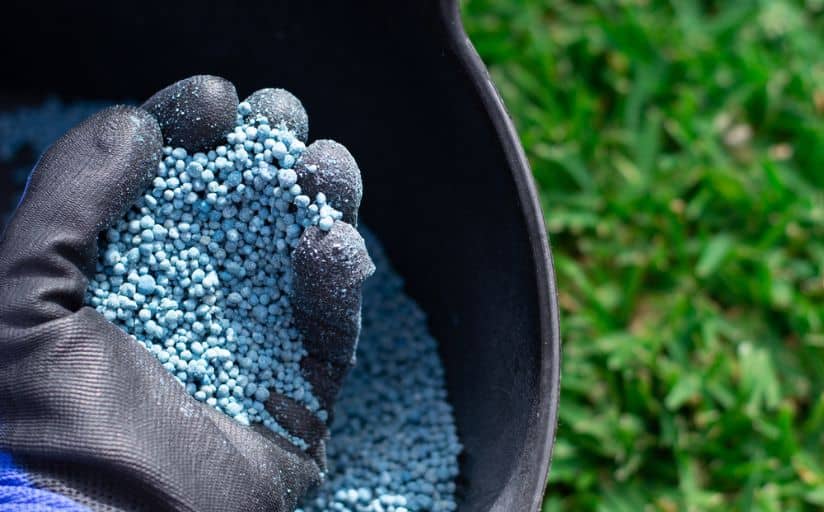 Should You Fertilize Your Lawn in the Winter?