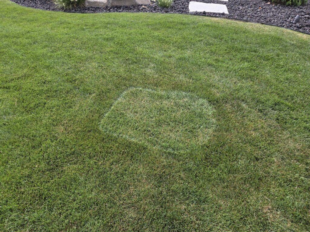 an example of neighbor's envy turning grass green