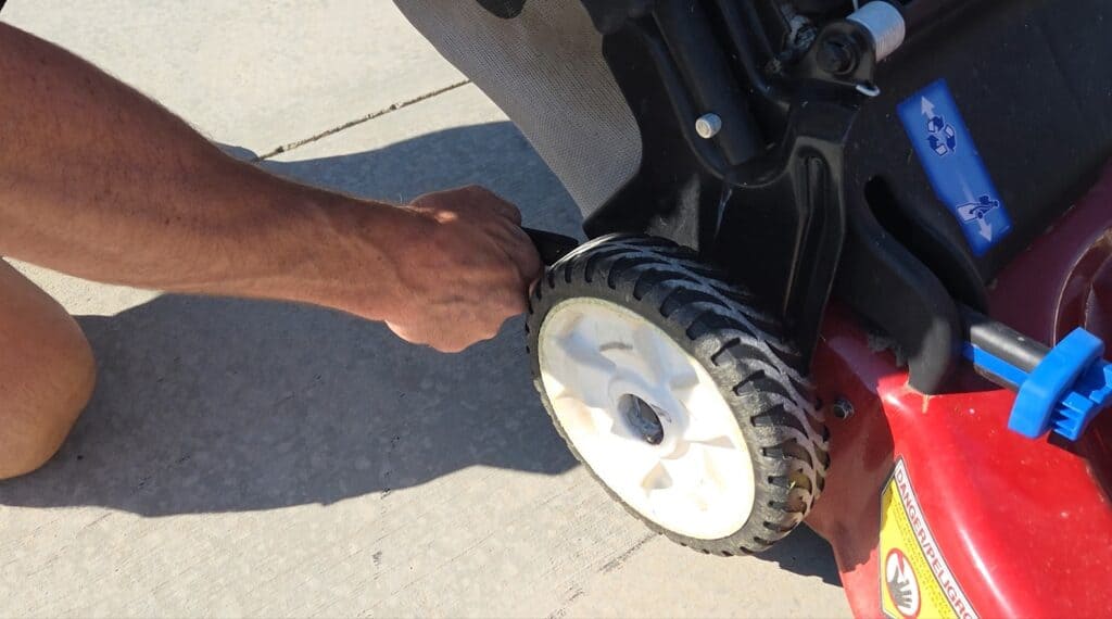 scalp the lawn before overseeding