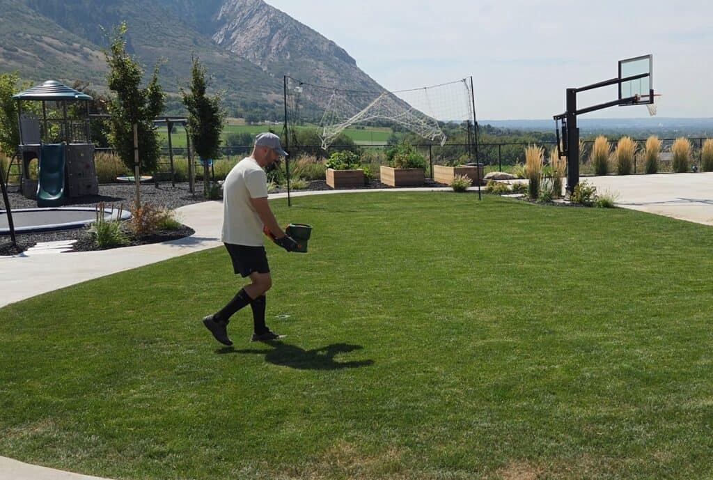 apply the seed to the lawn evenly during overseeding