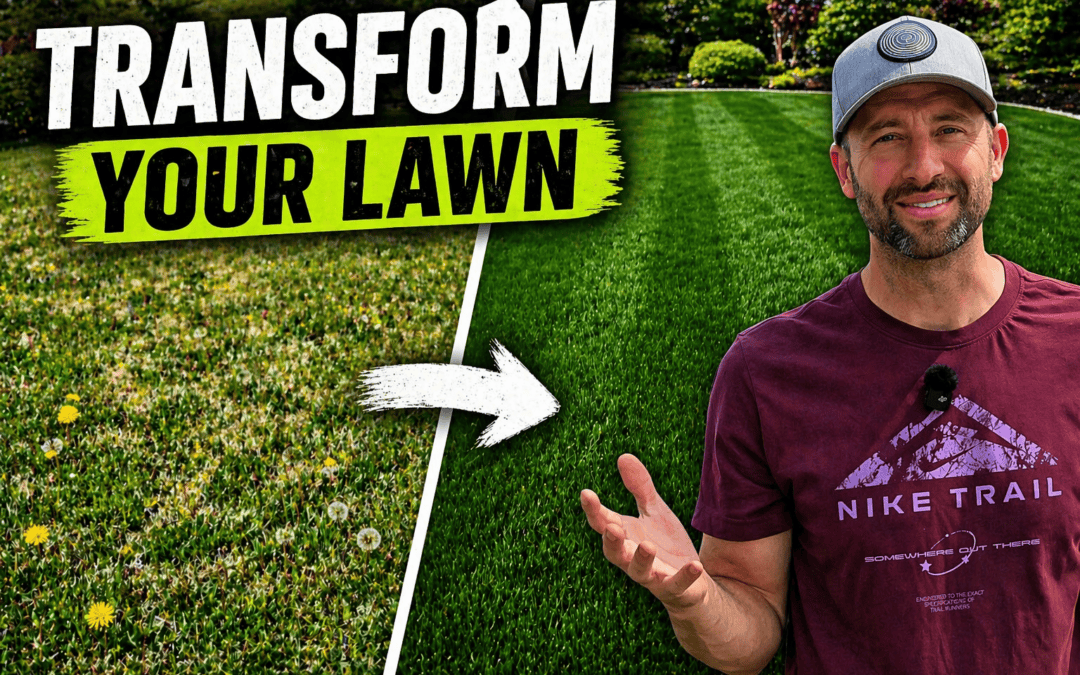 how to fix an ugly lawn in spring