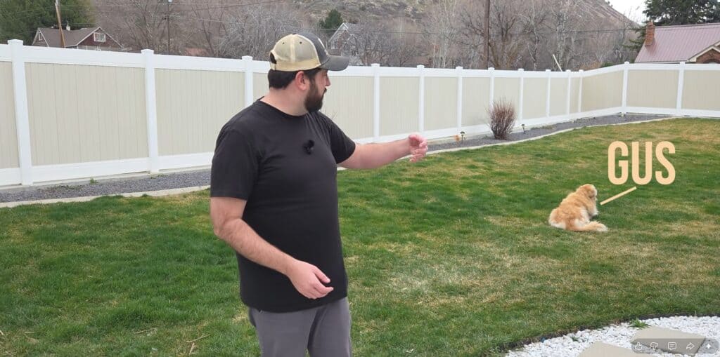 why scarify your lawn in the spring