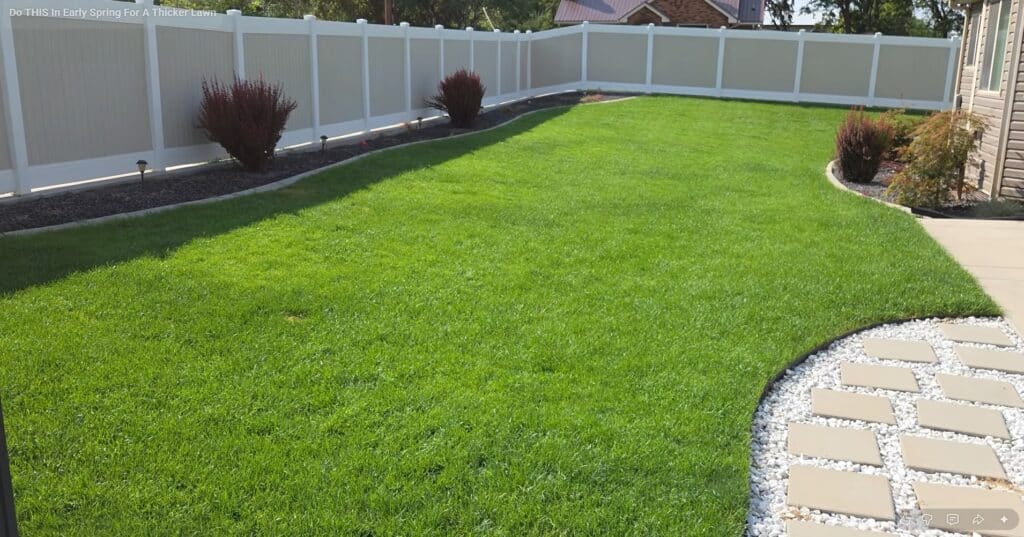 a healthy lawn that has been scarified in spring