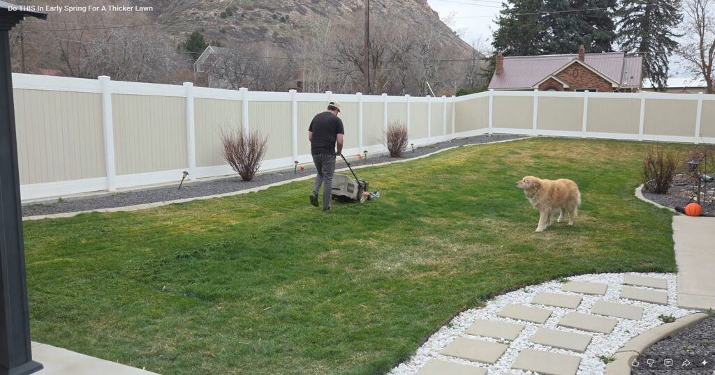 scalp lawn before scarifying
