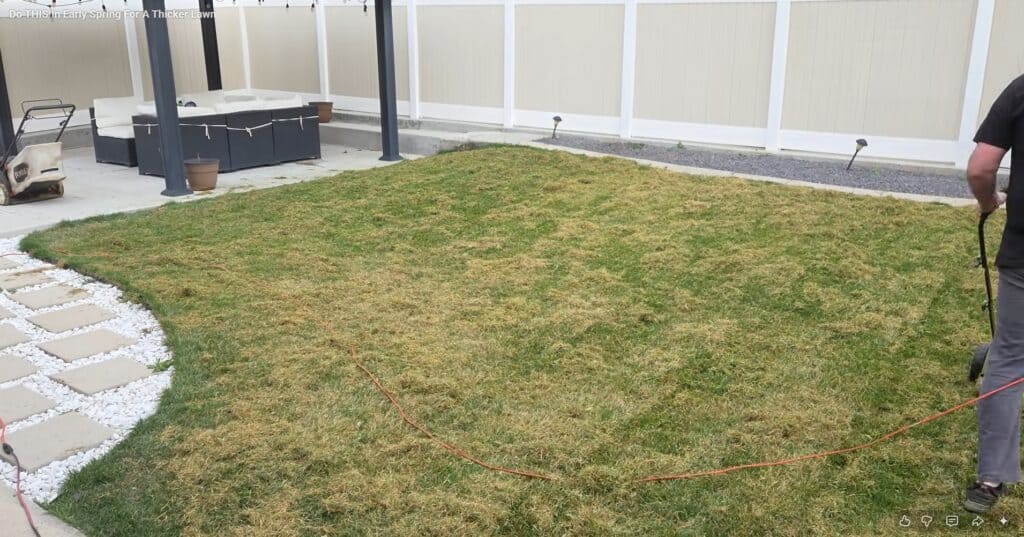 how to scarify your grass