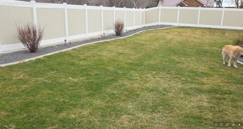 why scarify your lawn