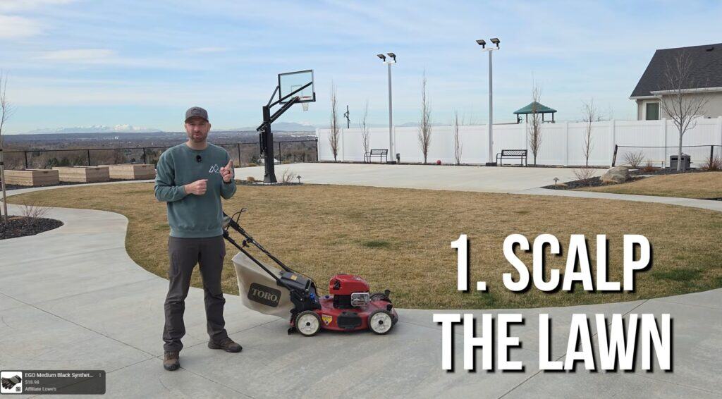 how to scalp the lawn when doing a spring nitrogen blitz