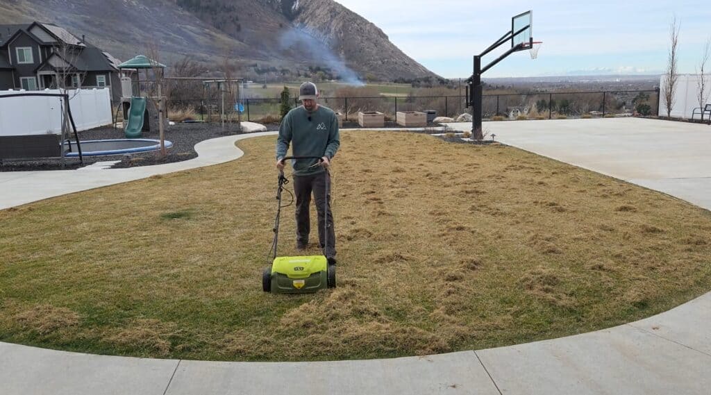 scarifying the lawn during a spring nitrogen blitz