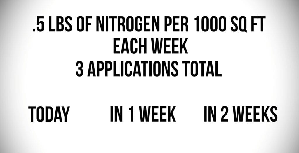 how often to apply ammonium sulfate during a spring nitrogen blitz