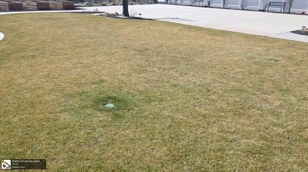 spring nitrogen blitz early lawn greenup results