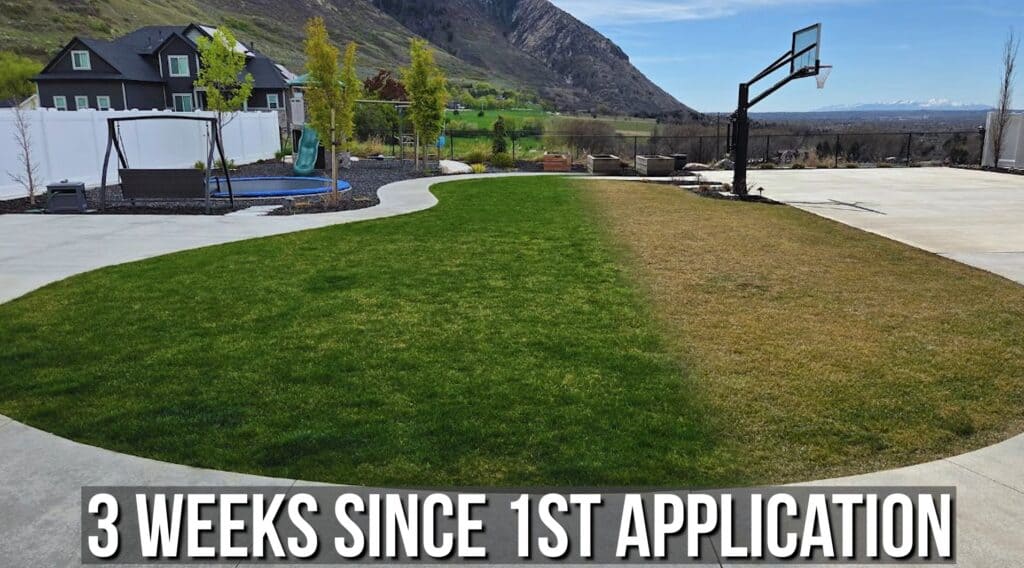 before and after results of a spring nitrogen blitz on a lawn