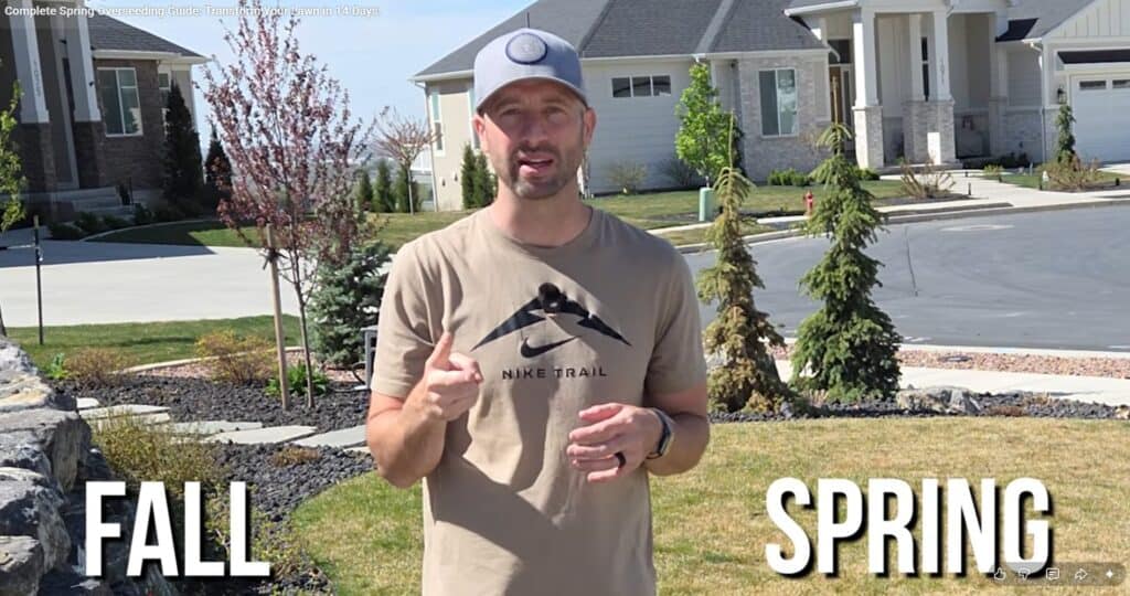 best times to do an overseed