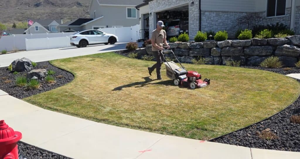 how to scalp the lawn when doing a spring overseed