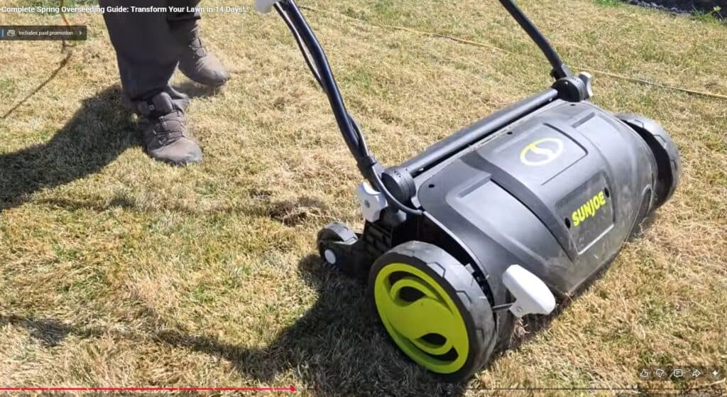 how to dethatch when doing a spring overseed