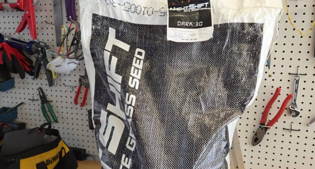 nightshift dark30 grass seed for overseed