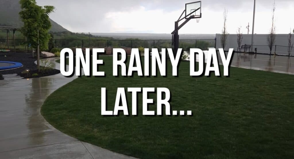 water in the pre-emergent to fix your ugly lawn