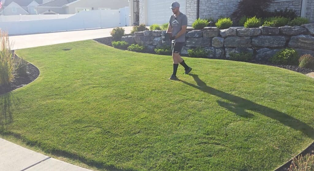 how to apply ironite to your lawn