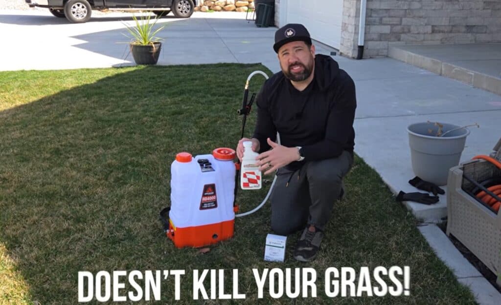 do selective herbicides kill your grass