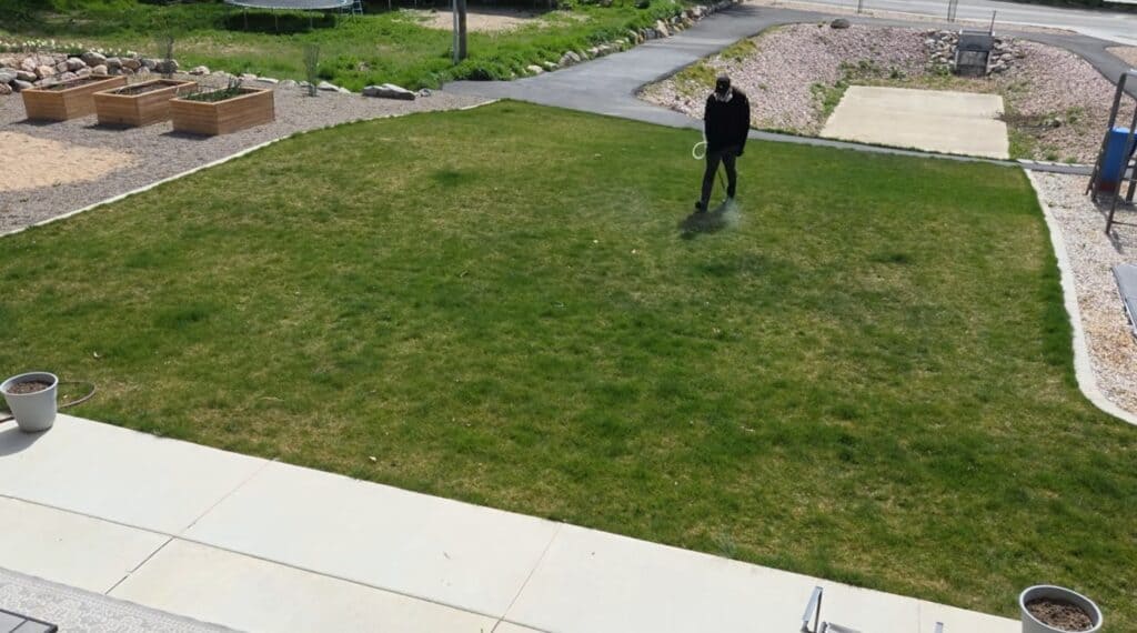 how to spray weed killer on lawn