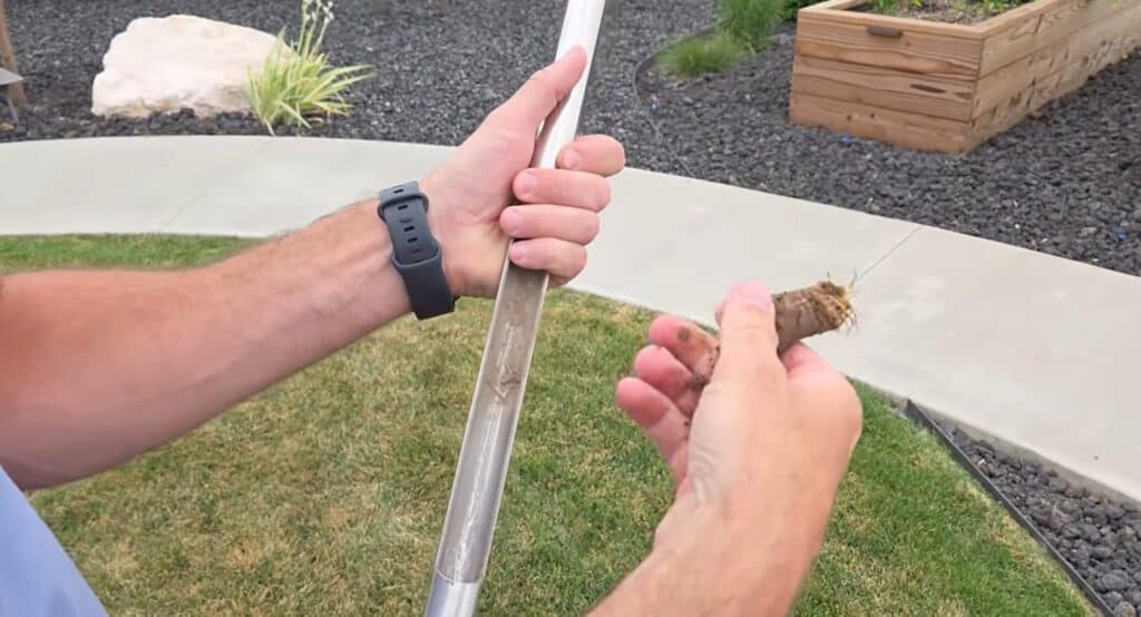 what dry soil in your lawn looks like