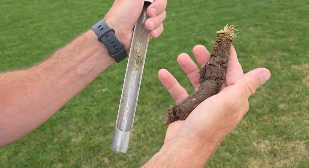 what moist soil looks like in a properly watered lawn