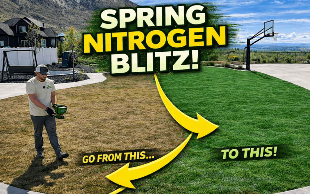 how to green up your lawn with a spring nitrogen blitz