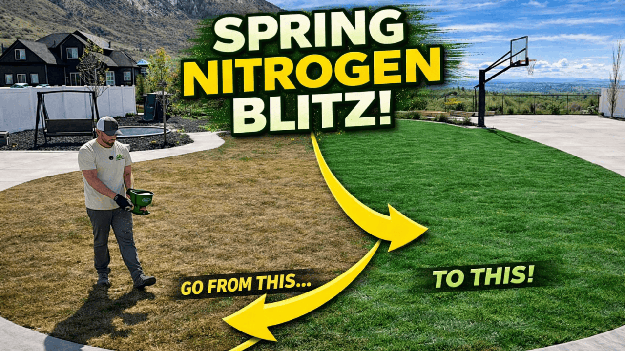 how to green up your lawn with a spring nitrogen blitz