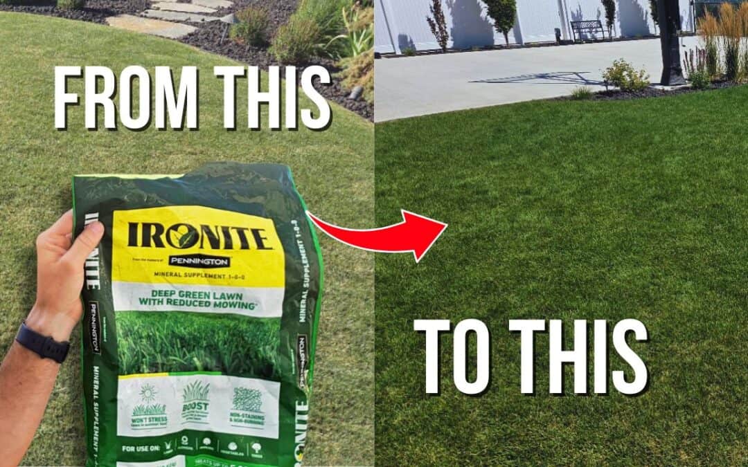 how and when to use ironite on your lawn