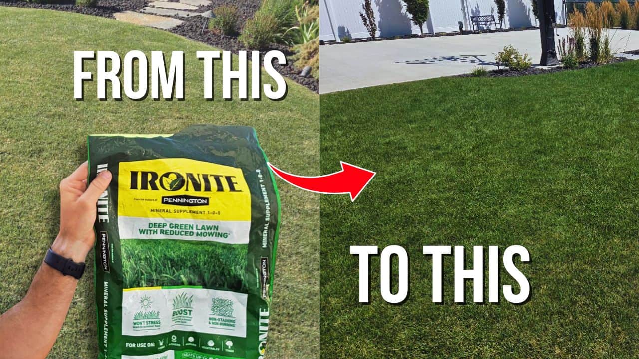 how and when to use ironite on your lawn