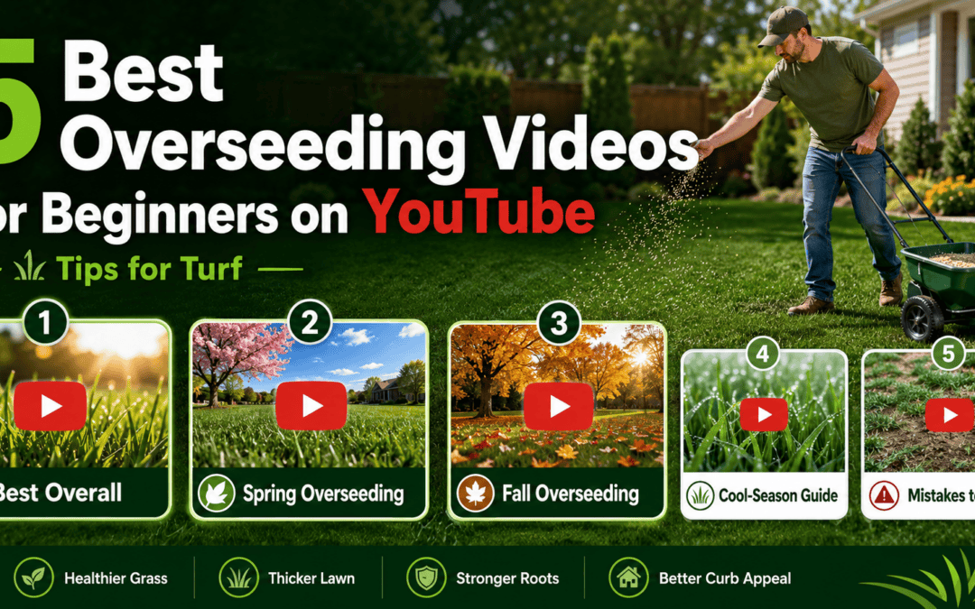5 Best Lawn Overseeding Videos on YouTube in 2026