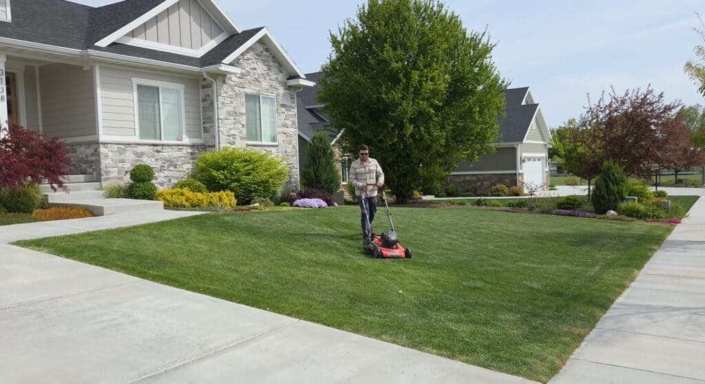 how to overseed your lawn
