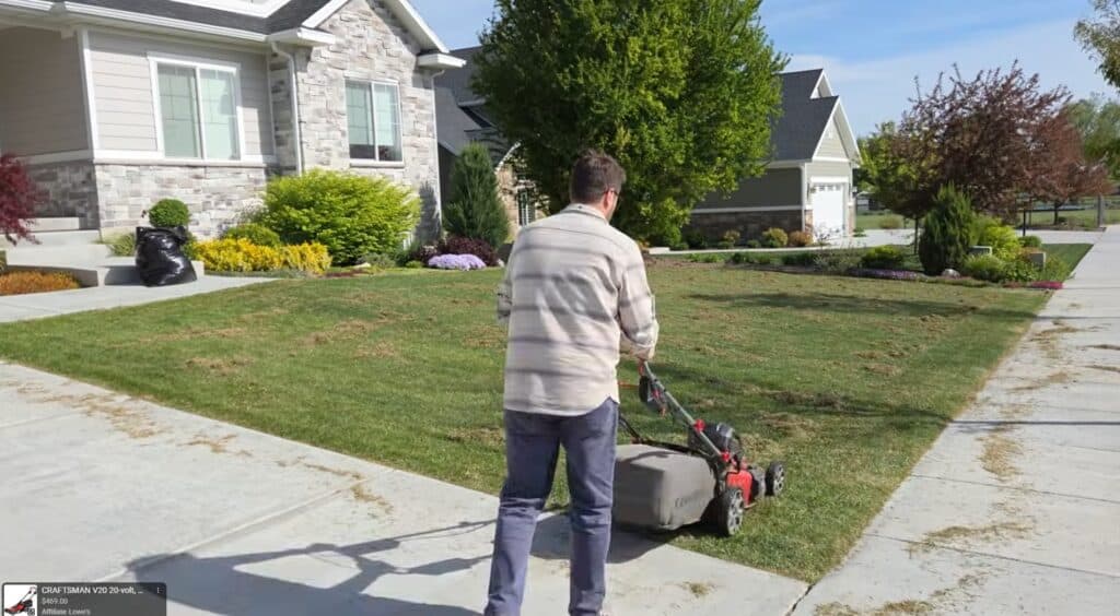 mow up thatch when overseeding