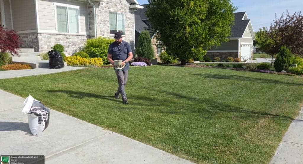 how to overseed your lawn for beginners