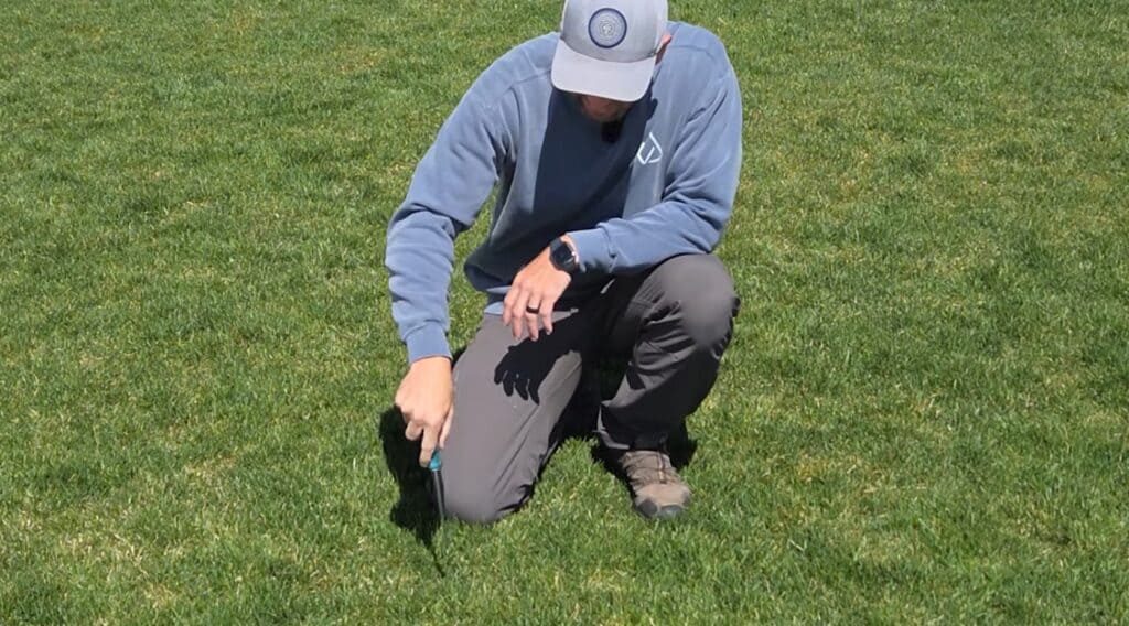 screwdriver soil compaction test